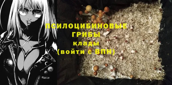 спиды Верея