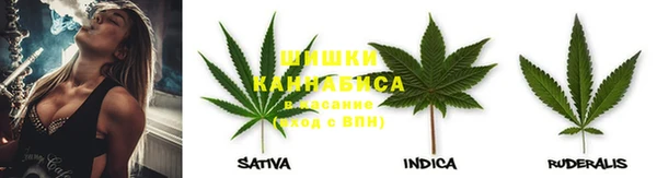 спиды Верея