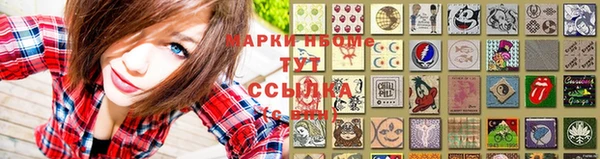 спиды Верея