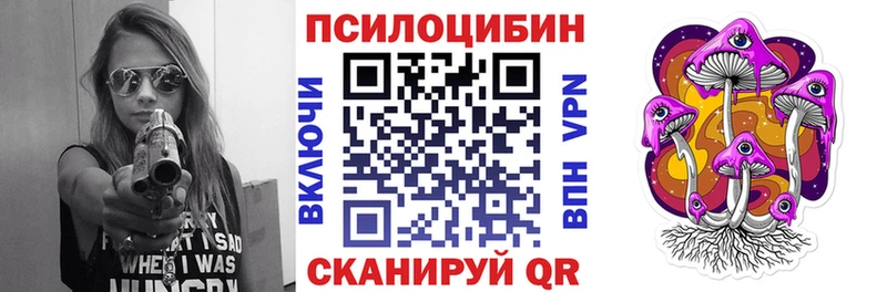 где найти   нарко площадка официальный сайт  Псилоцибиновые грибы MAGIC MUSHROOMS  Новосокольники 