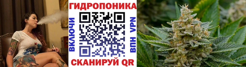 ссылка на мегу ссылки  даркнет состав  Бошки марихуана планчик  Новосокольники 